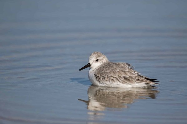 What's the Potential for Tidal Energy in the UK's Renewable Portfolio?